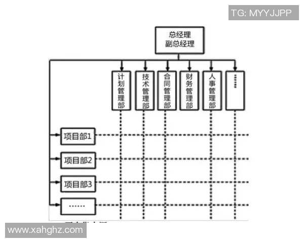 体育实时数据武汉乒乓球队整体压制革新之路全面解析与未来展望